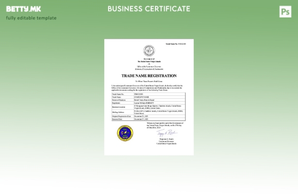 Модерен стил на Вирџин Остров сертификат за регистрација на трговско име Шаблон