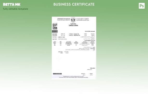 Модерен стил на шаблон лиценца за тргување во ОАЕ