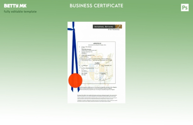 Модерен стил шаблон за сертификат за основање на Нов Зеланд