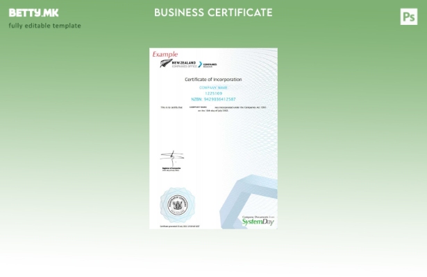 Модерен стил шаблон за сертификат за регистрација на Нов Зеланд