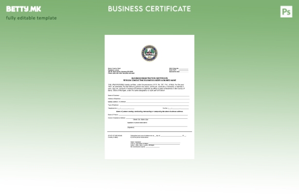 Модерен стил шаблон за сертификат за регистрација на бизнис во САД Мичиген