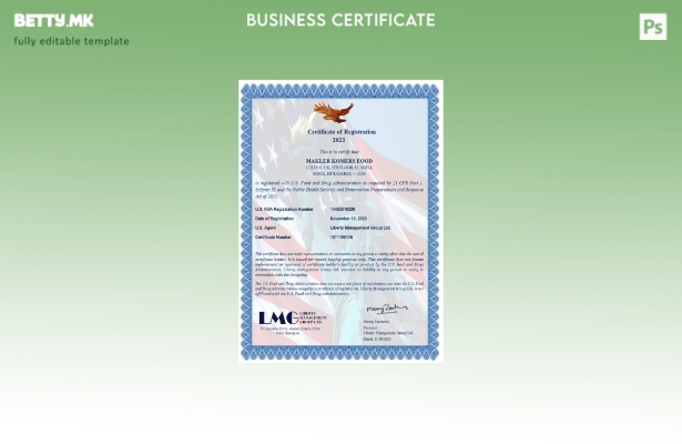 Модерен стил USA LMG сертификат за регистрација, Word и PDF шаблон, шаблон за ве