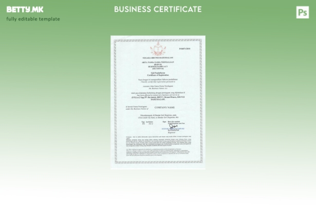 Шаблон за деловна лиценца во модерен стил во Брунеј