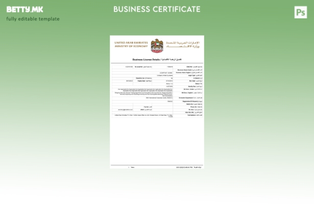 Шаблон за деловна лиценца од Обединетите Арапски Емирати во модерен стил