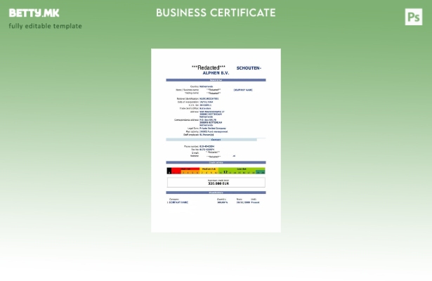 Шаблон за сертификат за регистрација во модерен стил Холандија