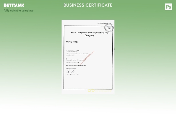 Шаблон за уверение за основање во модерен стил на Ирска