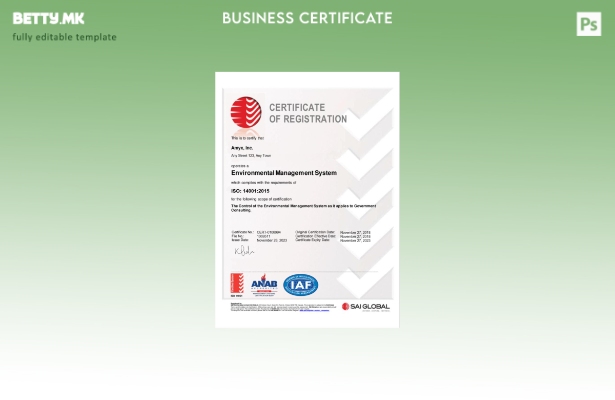 модерен стил Австралија SAI GLOBAL сертификат за регистрација на бизнис Шаблон з