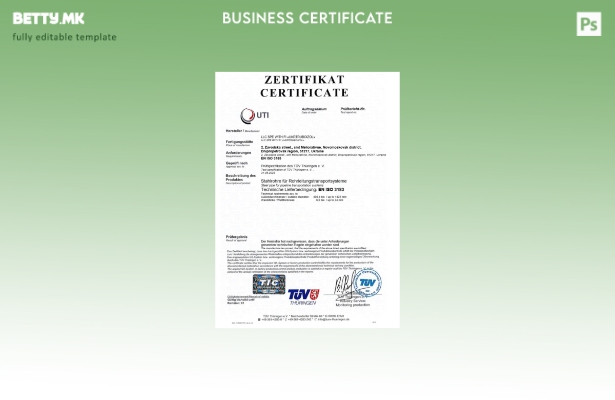 модерен стил Германија UTI сертификат за регистрација Шаблон за Word и PDF