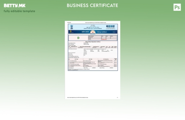 модерен стил Индија Udyog Aadhaar сертификат за регистрација Шаблон за Word и PD
