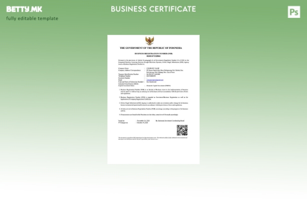 модерен стил Индонезиски деловен регистарски број Шаблон за Word и PDF
