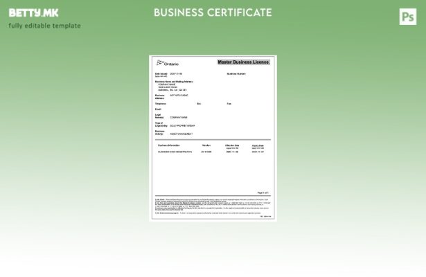 модерен стил Канада Онтарио господар деловна лиценца Шаблон за Word и PDF шаблон