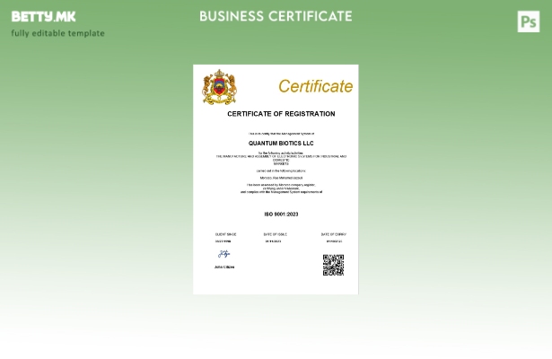 модерен стил Мароко сертификат за регистрација на бизнис Шаблон за Word и PDF ша