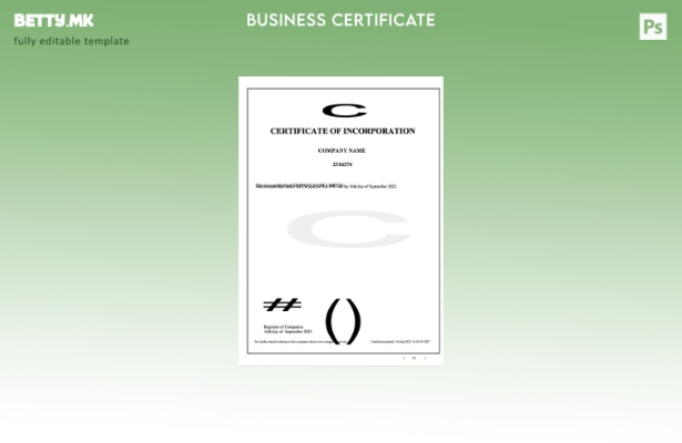 модерен стил Нов Зеланд сертификат за инкорпорација Шаблон Word и PDF, шаблон за