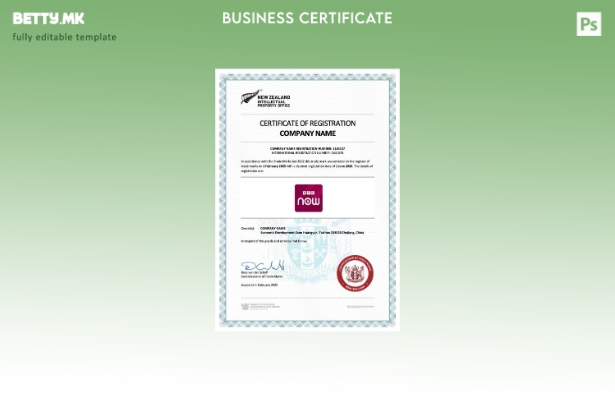 модерен стил Новозеландски сертификат за регистрација Шаблон за шаблон Word и PD
