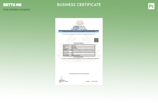 модерен стил Регистрација на идентификациски број на даночен обврзник во Замбија