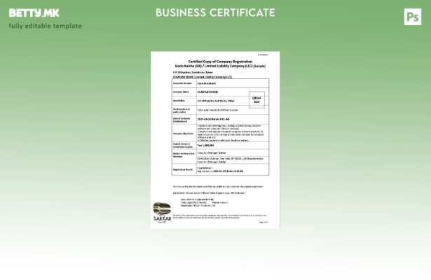 модерен стил Регистрација на јапонска компанија Шаблон за Word и PDF