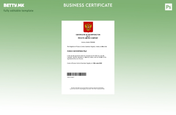 модерен стил Русија сертификат за регистрација на бизнис Шаблон за Word и PDF ша