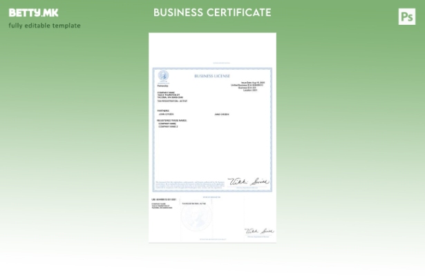 модерен стил САД Вашингтон деловна лиценца Шаблон за Word и PDF