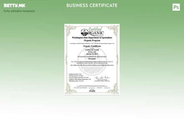 модерен стил САД Вашингтон органски сертификат на компанијата Word и шаблон за P