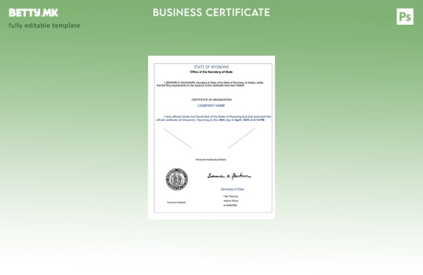 модерен стил САД Вајоминг сертификат за организација Шаблон за Word и PDF