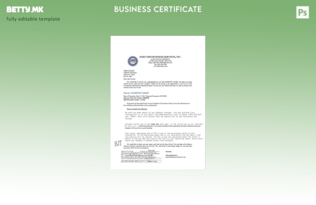 модерен стил САД Делавер сертификат за регистрација Шаблон Word и PDF, шаблон за