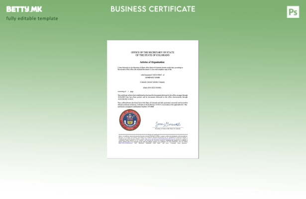 модерен стил САД Колорадо статии на организацијата Шаблон за Word и PDF