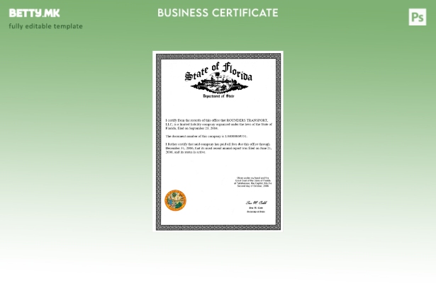 модерен стил САД држава Флорида сертификат за деловна лиценца Шаблон за Word и P