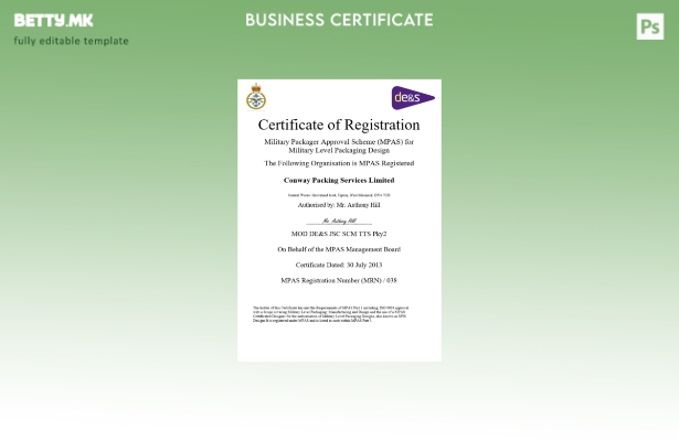 модерен стил САД MPAS сертификат за регистрација на бизнис Шаблон за Word и PDF