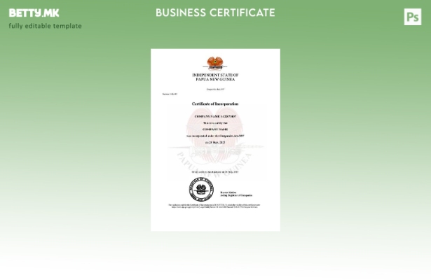 модерен стил Сертификат за инкорпорација на Папуа Нова Гвинеја, шаблон за Word и