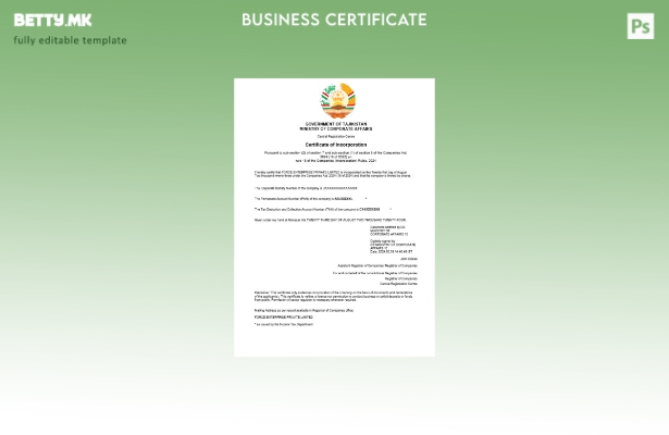 модерен стил Таџикистан сертификат за регистрација на бизнис Шаблон Word и PDF ш