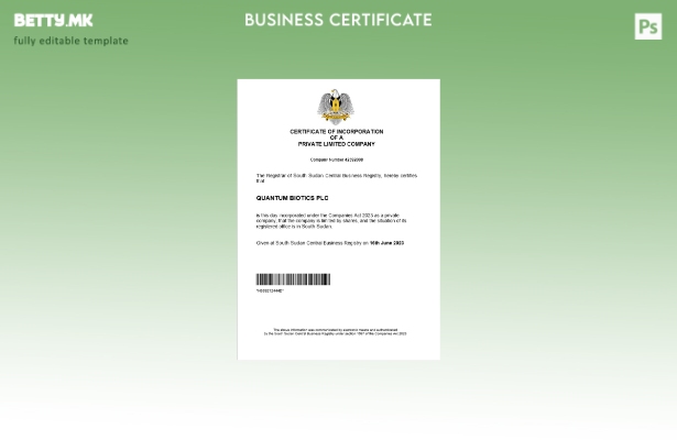 модерен стил Уверение за регистрација на бизнис во Јужен Судан Шаблон за шаблон