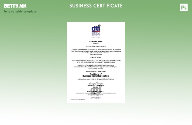 модерен стил Филипини сертификат за регистрација на бизнис име Шаблон за верзија