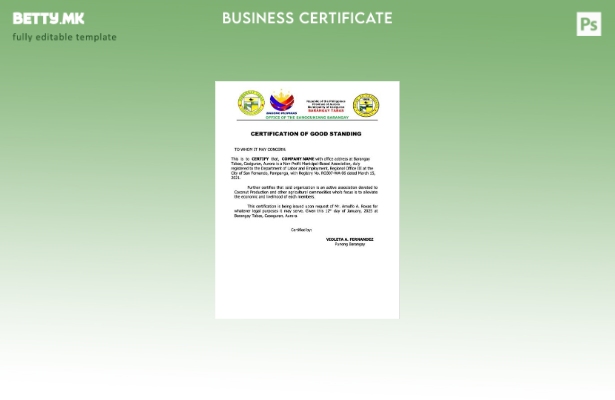 модерен стил Филипини сертификација за добра состојба Word и PDF шаблон, шаблон