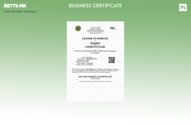 модерен стил Филипинска лиценца за работа со шаблон за Word и PDF