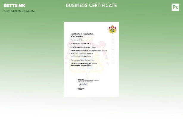 модерен стил Шведска сертификат за регистрација на бизнис Шаблон за Word и PDF