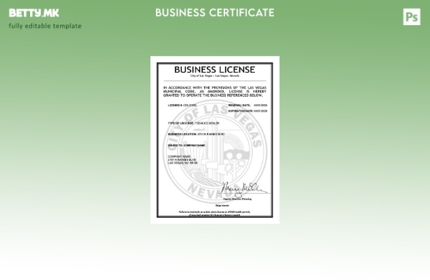 модерен стил во САД Невада деловна лиценца Шаблон за Word и PDF шаблон