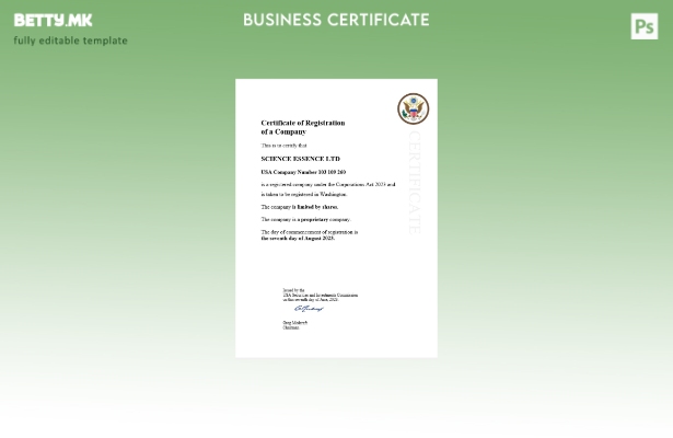 модерен стил во САД сертификат за регистрација на бизнис Шаблон за Word и PDF