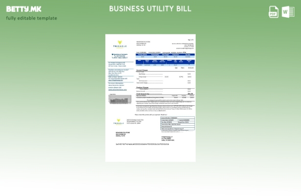 Бизнис сметка за комунални услуги во САД Texas TriEagle