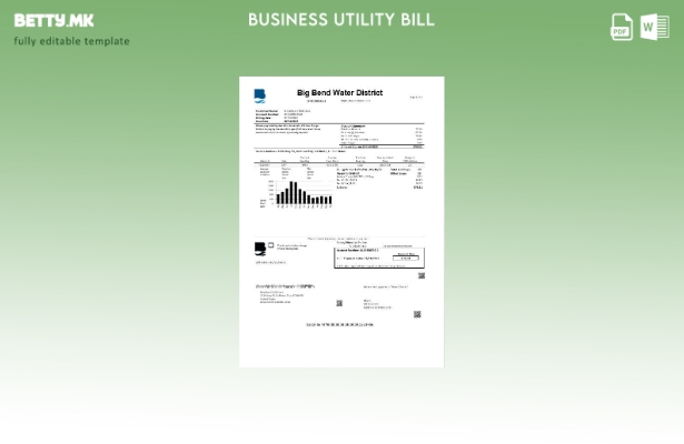 Деловна сметка за комунални услуги во округот Биг Бенд во САД, Невада