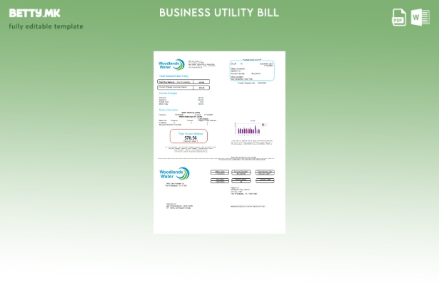 Деловна сметка за комунални услуги на Woodlands Water