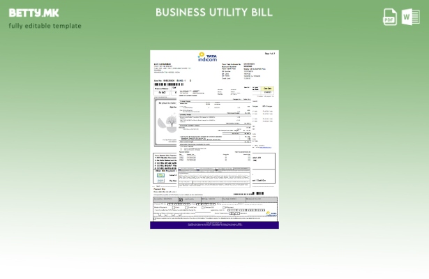 Деловна сметка за мобилни комунални услуги Tata Indicom, страница 1