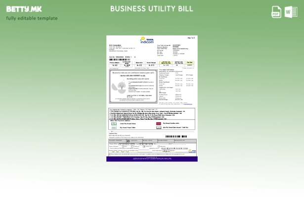 Деловна сметка за мобилни комунални услуги Tata Indicom, страница