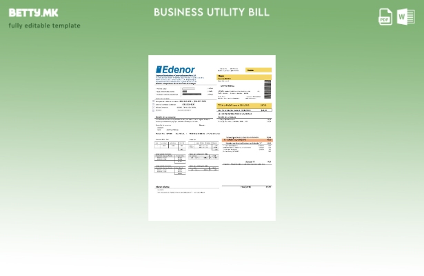 Модерен стил Аргентина Edenor лесна за пополнување шаблон за деловни сметки за к