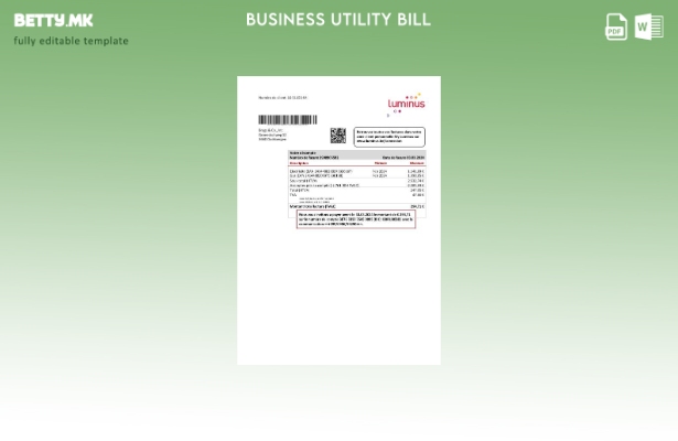 Модерен стил Белгија Luminus шаблон за деловна сметка за комунални услуги