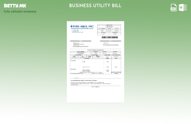 Модерен стил Белорусија Pure Aqua Inc Шаблон за деловна сметка за комунални услу