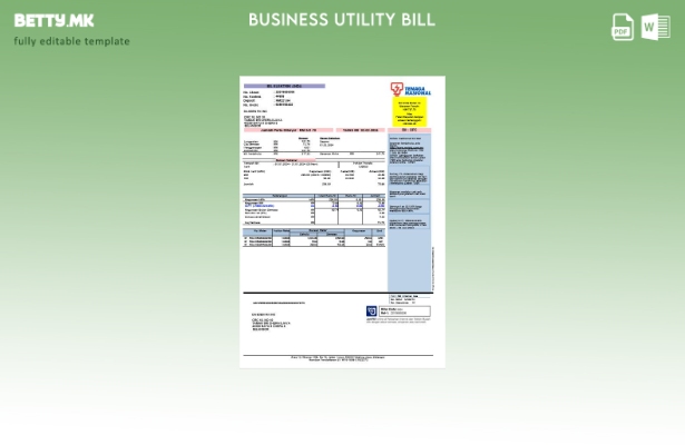 Модерен стил Индија Tenaga Nasionalbusiness шаблон сметки за комунални услуги