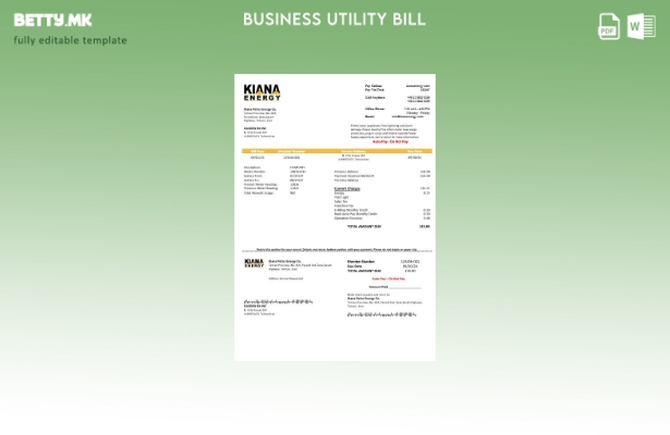 Модерен стил Иран Киана Петро Енерџи Ко Шаблон за деловна сметка за комунални ус