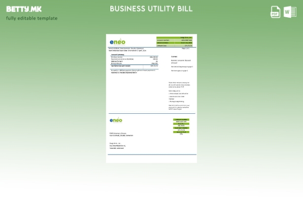 Модерен стил Камерун ENEO шаблон страница за деловна сметка за електрична енерги