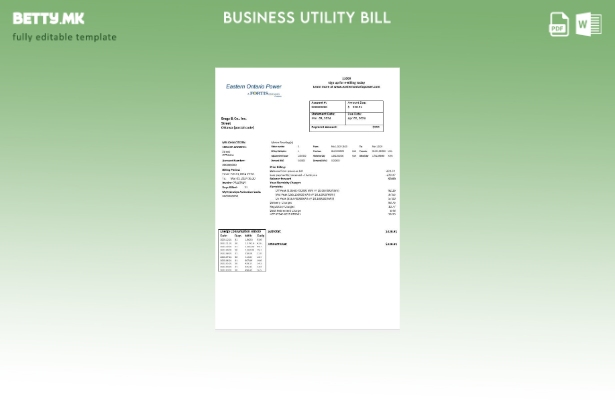 Модерен стил Канада Источен Онтарио Моќ Шаблон за деловна сметка за комунални ус
