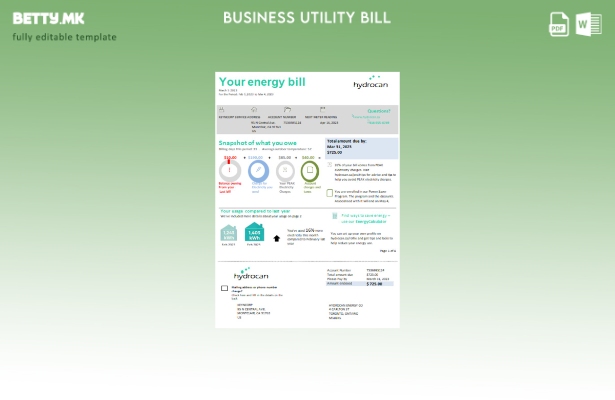 Модерен стил Онтарио Хидрокански шаблон за деловна сметка за електрична енергија